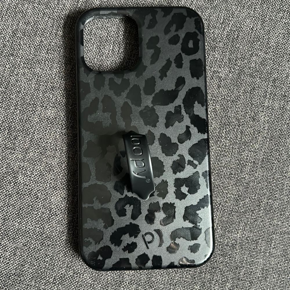 Loopy case